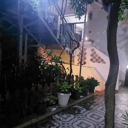Apartment Guest House Flowers *