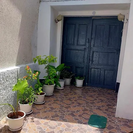 Apartment Guest House Flowers